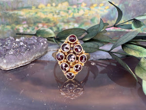14 karaat gouden granaat ring 14 karaat gouden granaat ring