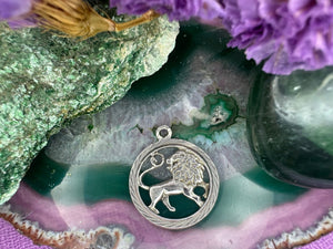 Zilveren hanger van leeuw Zilveren hanger van leeuw