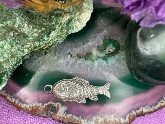 Zilveren bedel van vis