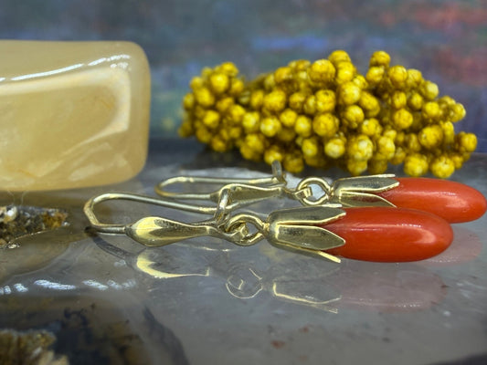14 karaat gouden oorbellen met bloedkoraal