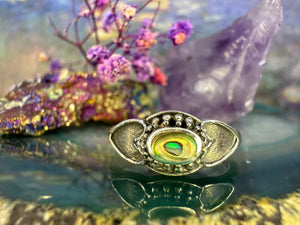 Zilveren ring Zilveren ring