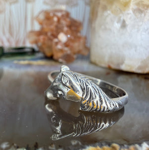 Zilveren paardenring Zilveren paardenring