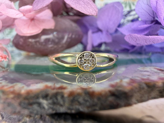 14 karaat gouden diamant ring