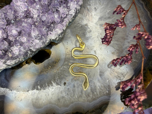 14 karaat gouden slang