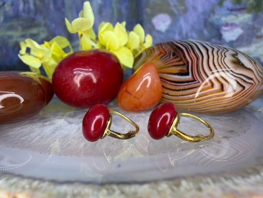 14 karaat gouden bakeliet oorbellen