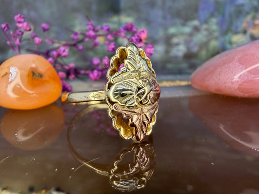 12 karaat rose- en geelgouden ring