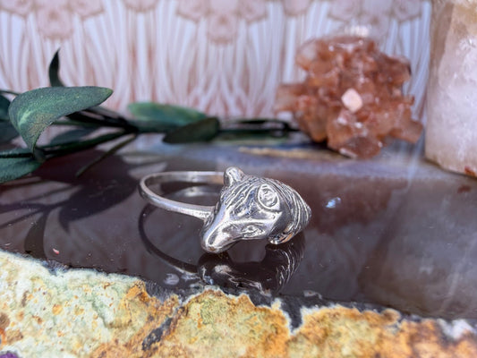 Zilveren paardenring