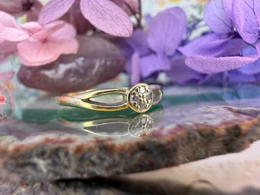 14 karaat gouden diamant ring