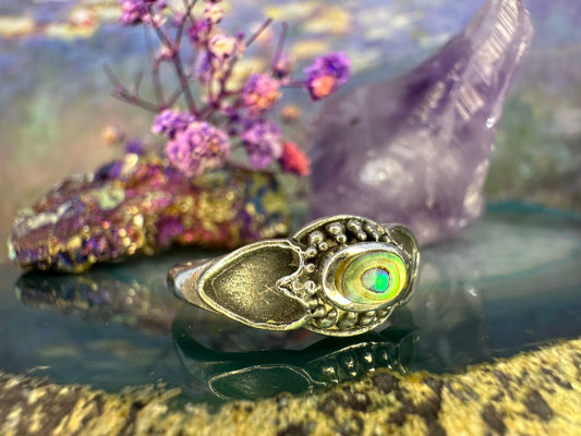 Zilveren ring