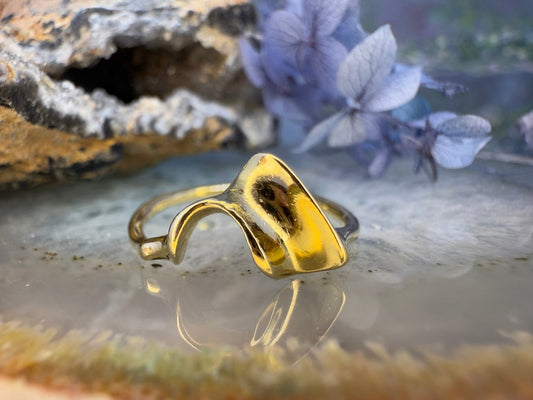 18 karaat gouden ring