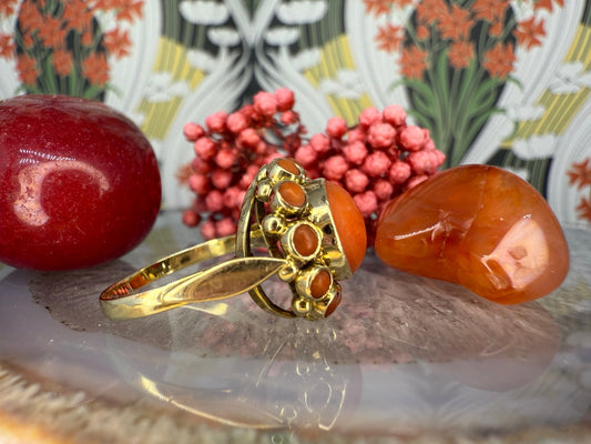 14 karaat gouden bloedkoraal ring