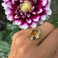 14 karaat gouden citrien ring