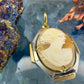 14 karaat wit- en geelgouden camee hanger