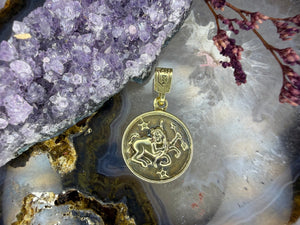 14 karaat gouden munt hanger leeuw