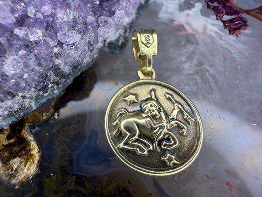 14 karaat gouden munt hanger leeuw