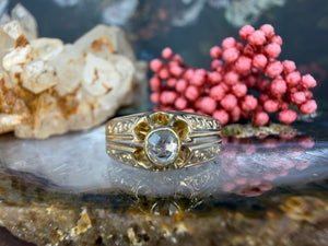 14 karaat gouden diamant ring