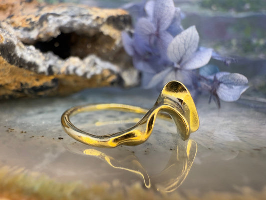 18 karaat gouden ring