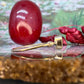 9 karaat ring met robijn
