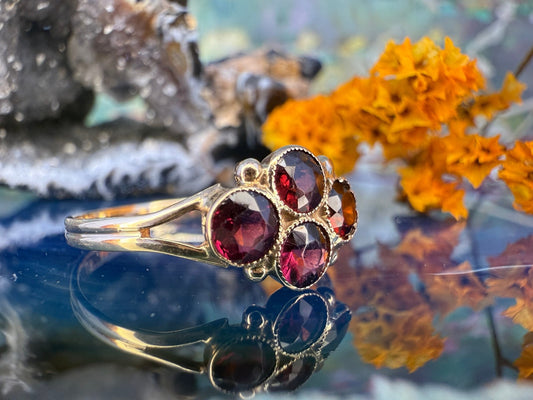 9 karaat ring met granaat