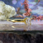 14 karaat gouden zirkonia ring