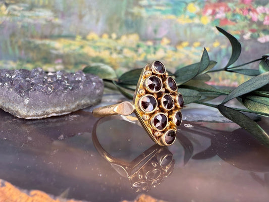 14 karaat gouden granaat ring