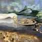 14 karaat gouden vissen hanger