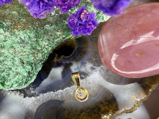 14 karaat gouden diamant hangertje