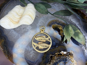 14 karaat gouden vissen hanger