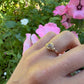 14 karaat gouden ring met robijn