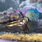 14 karaat gouden goudsteen ring