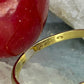 14 karaat gouden ring met granaat