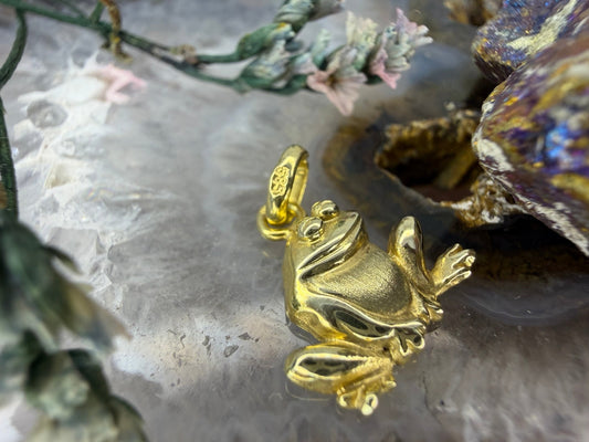 14 karaat gouden kikker hanger