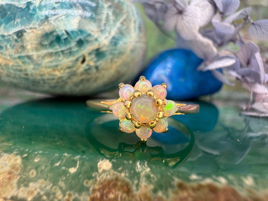 14 karaat gouden ring met opaal