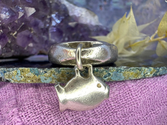 Zware zilveren ring met visbedel