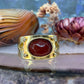 14 karaat gouden carneool ring