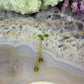 14 karaat gouden ketting met groene steentjes