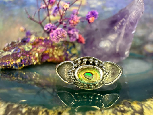 Zilveren ring