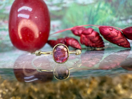 9 karaat ring met robijn