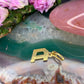 18 karaat ‘D’ hanger met diamant