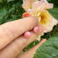 8 karaat rhodochrosiet oorknoppen