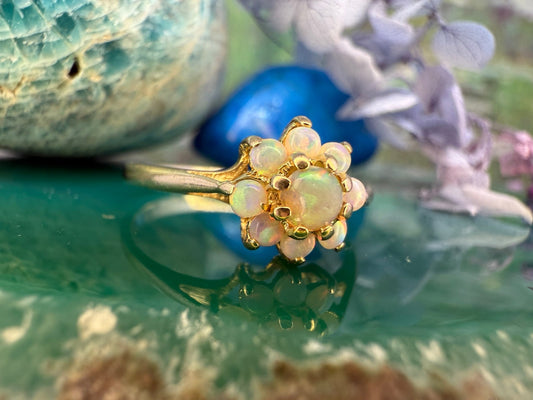 14 karaat gouden ring met opaal