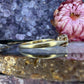18 karaat gouden diamant ring