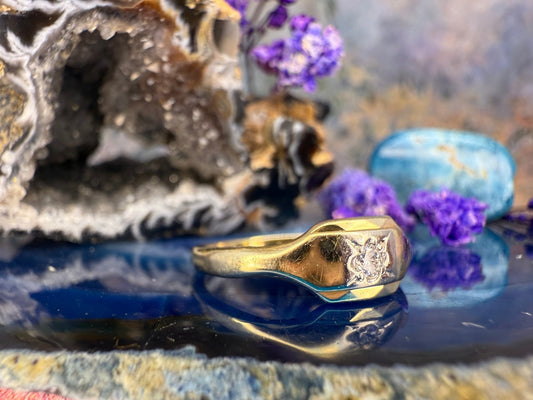 14 karaat gouden ring met diamant