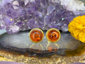 14 karaat gouden amber oorknoppen