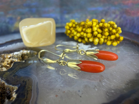 14 karaat gouden oorbellen met bloedkoraal