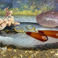14 karaat gouden amber oorbellen